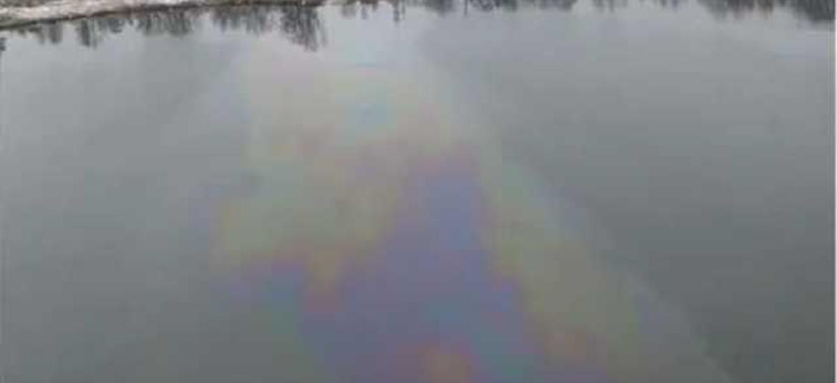 В Киеве поверхность озера закрыло нефтяным пятном