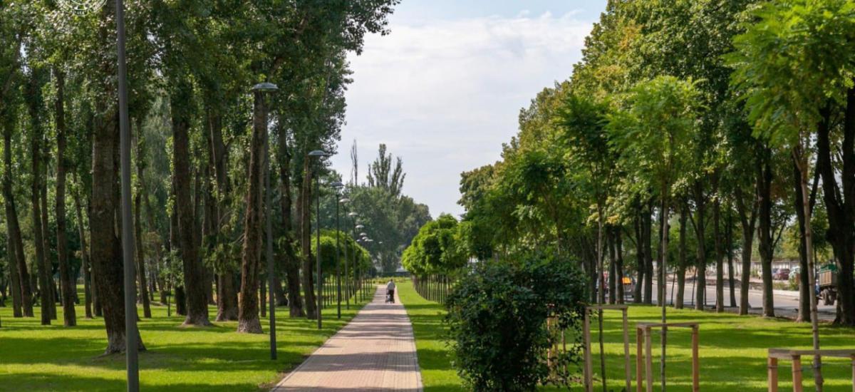 У "Київзеленбуді" розікрали понад 3 млн на ремонті чотирьох парків